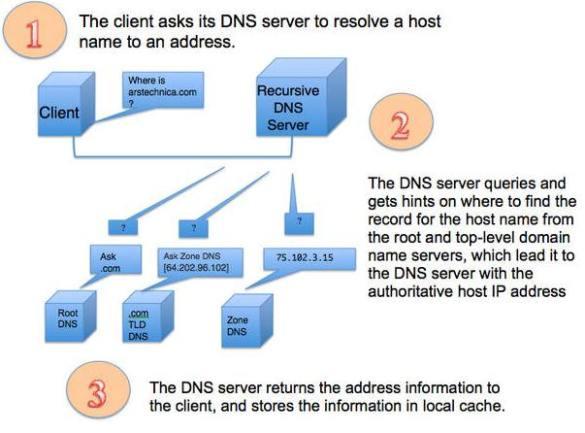   DNS