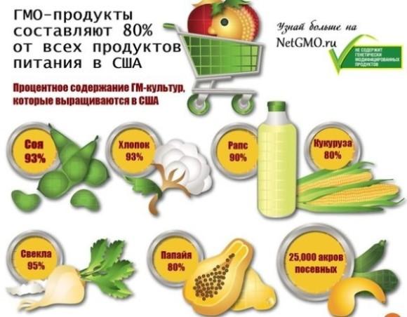 Процентное содержание ГМ - культур, которые выращиваются в США Процентное содержание ГМ - культур, которые выращиваются в США