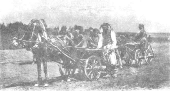 Типи українських селян.
Листівка.
Фототипія шерера, Набгольца.
Посаток ХХст.