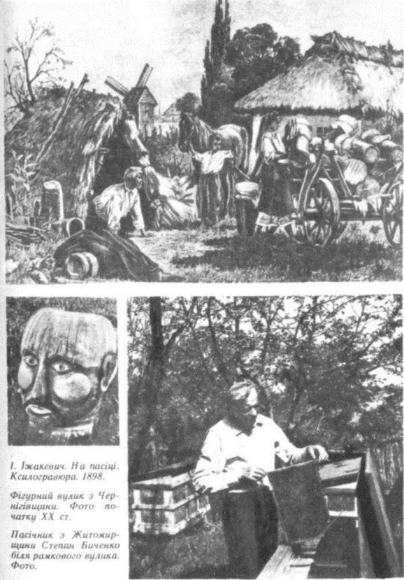 Пасика, вулики на Україні