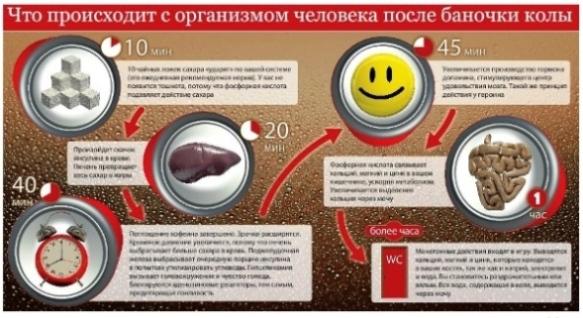 Что происходит с организмом человека после баночки Coca-Cola Что происходит с организмом человека после баночки Coca-Cola