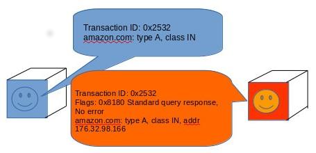         DNS-